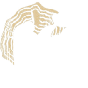 irindecor